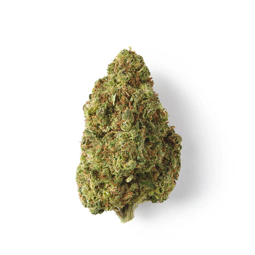 Cookies | CBD Flower | Glasshouse + Light Support | CBD Black | 17% CBD