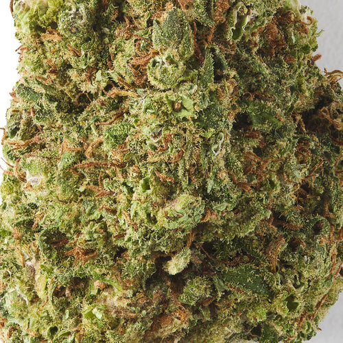 Cookies | CBD Flower | Glasshouse + Light Support | CBD Black | 17% CBD