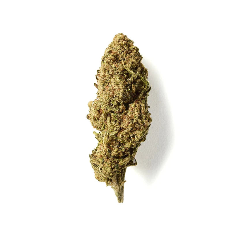 Fruit Cake | CBD Flower | Glasshouse + Light Support | CBDBlack | 15% CBD