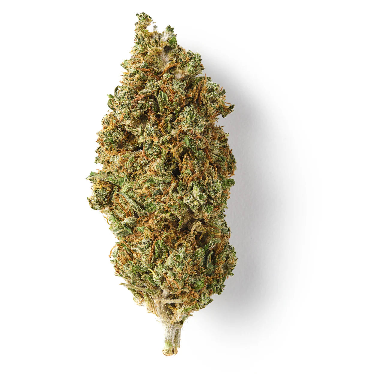 Mango | CBD Flower | Glasshouse + Light Support | CBD Black | 15% CBD